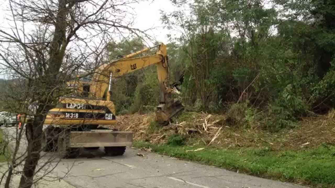 Excavator mulcher doing roadside clearing 1/2