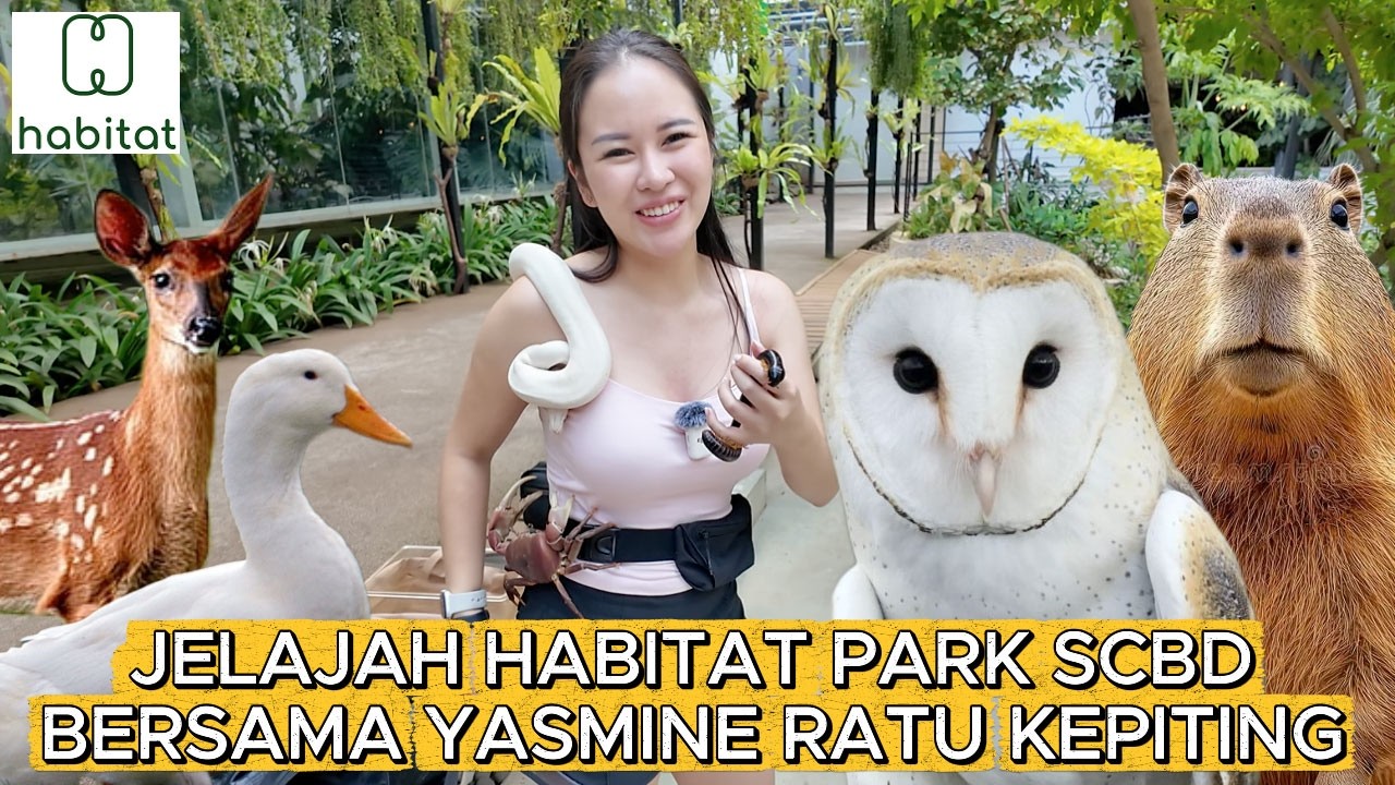 Jelajah Habitat Park SCBD Bersama Yasmine Ratu Kepiting