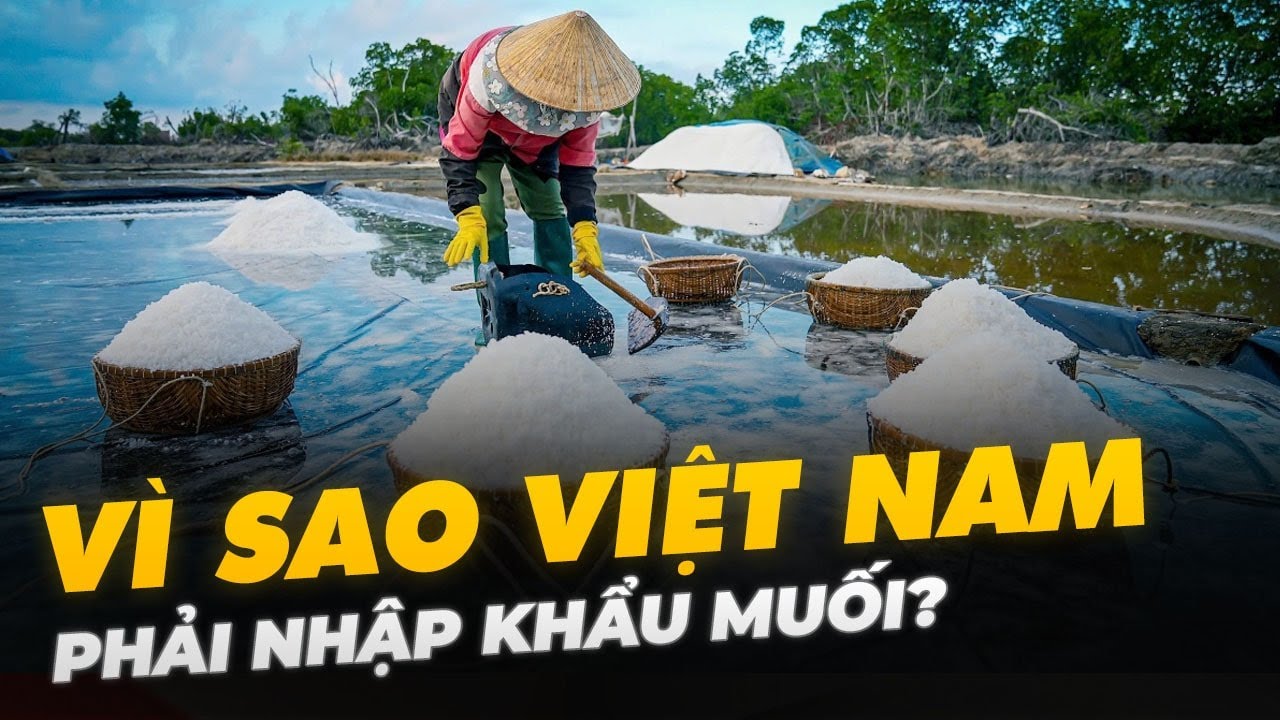 VÌ SAO VIỆT NAM PHẢI NHẬP KHẨU MUỐI?