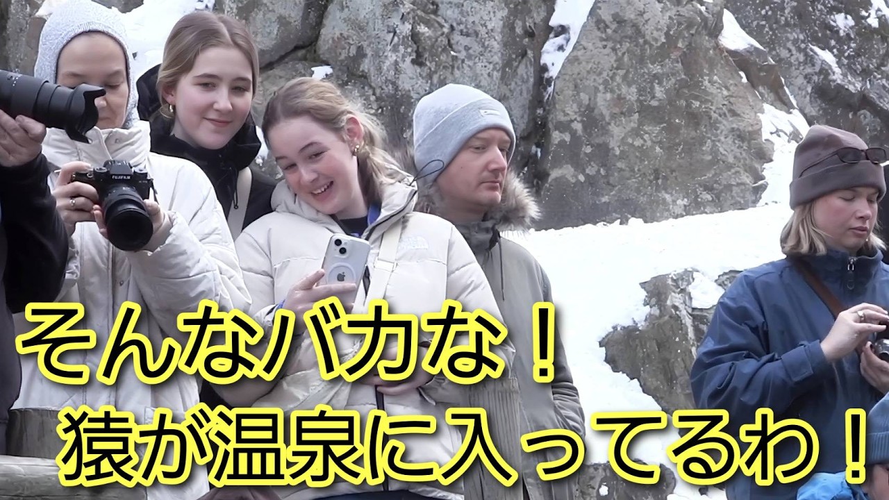 そんなバカな！猿が温泉に入ってるわ！世界でここだけの珍しい光景に外国人観光客が笑いを我慢できない