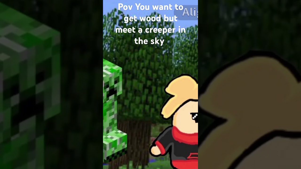 Minecraft animation 1 
