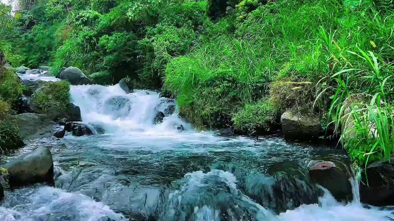Mountain Stream Night Water Flow, Forest River Sounds, Sleep