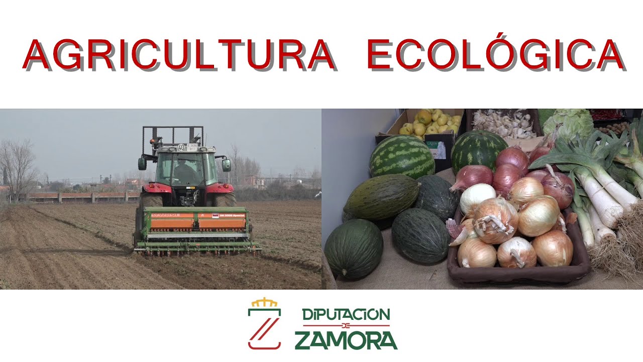 Diputación Zamora (Producción Ecológica)