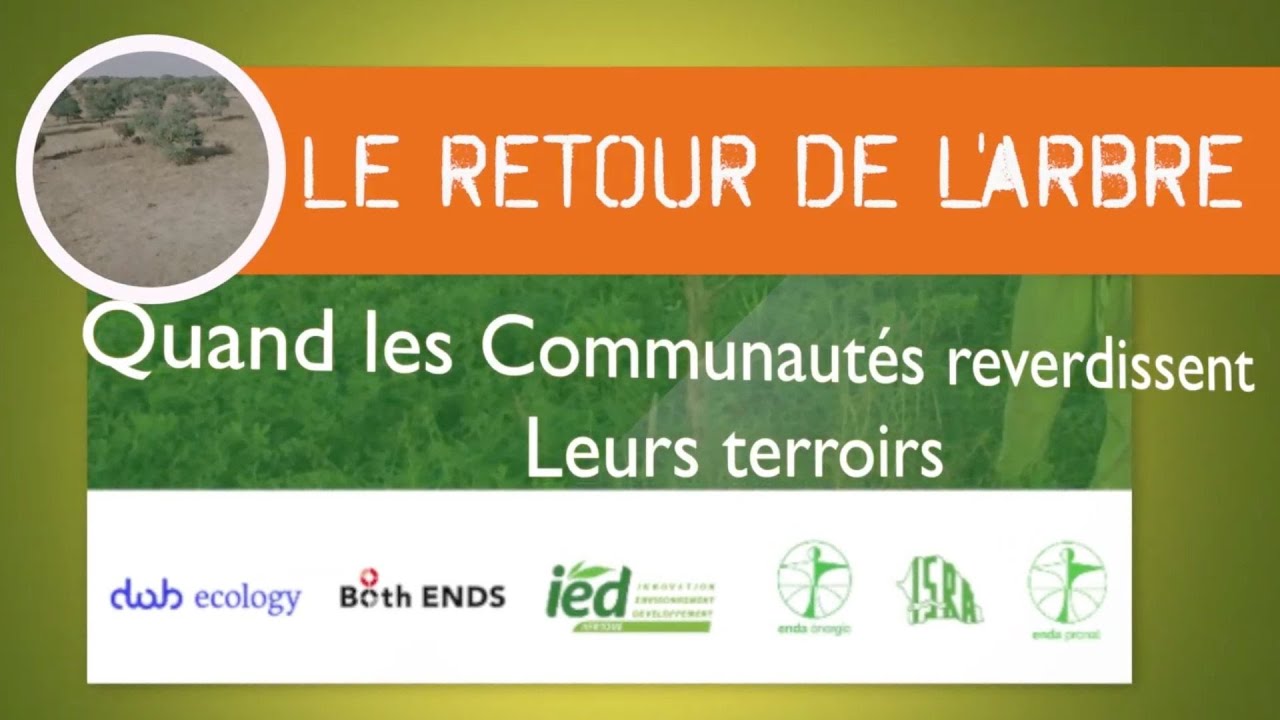 Les Communautés Reverdissent le Sahel à travers la Regénération Naturelle Assistée RNA