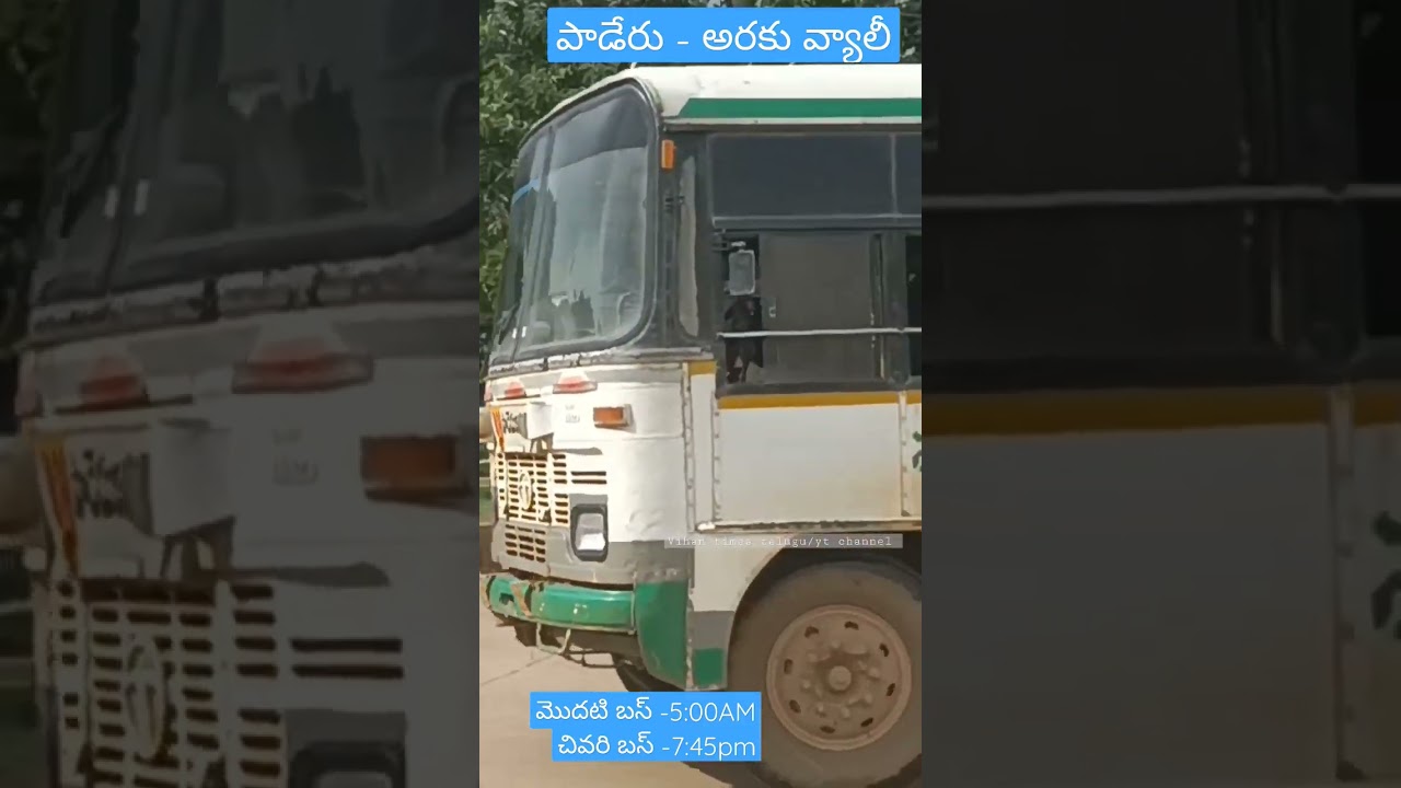Apsrtc paderu to Araku palle velugu bus #short