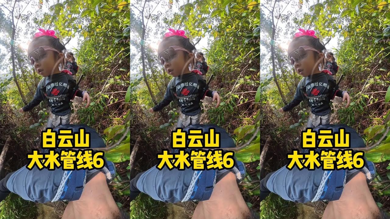 我握住一根树枝借力，树枝一断，我差点从陡坡上摔下去。#小型生物  #内容启发搜索 #随时随地标记一下 #爬山 #户外