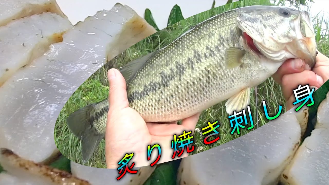 ブラックバスを釣って食うなら炙り焼きの刺し身でしょ!!【まねすんなよ】