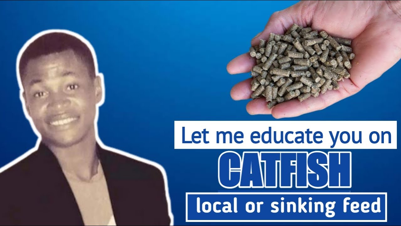 Learn how to formulate local catfish feed like a pro || catfish farming in Nigeria