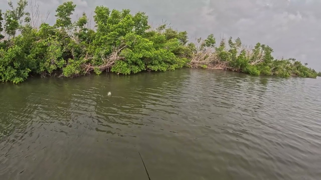 Pine Island Sound Inshore Slam