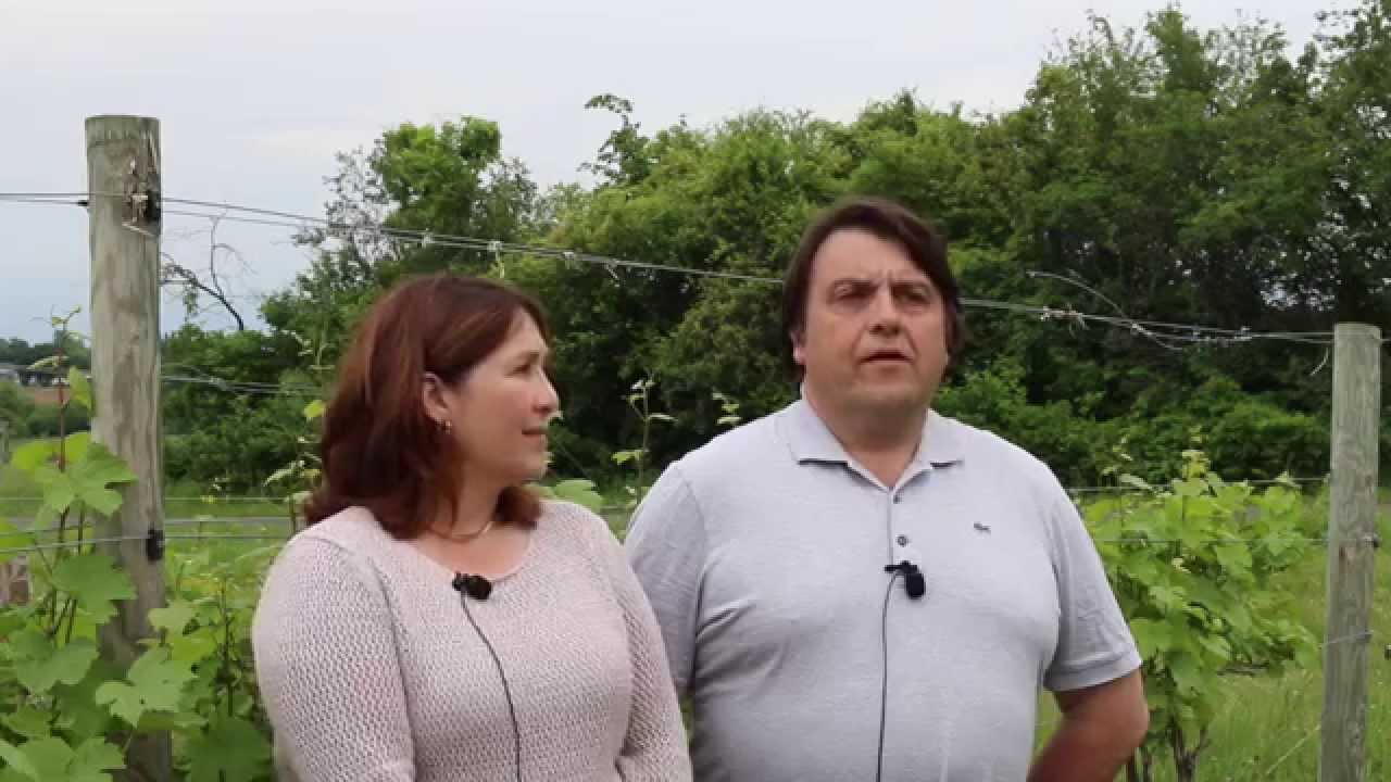 Winemakers of Finger Lakes: Lisa and Morten Hallgren, Ravines Wine Cellars