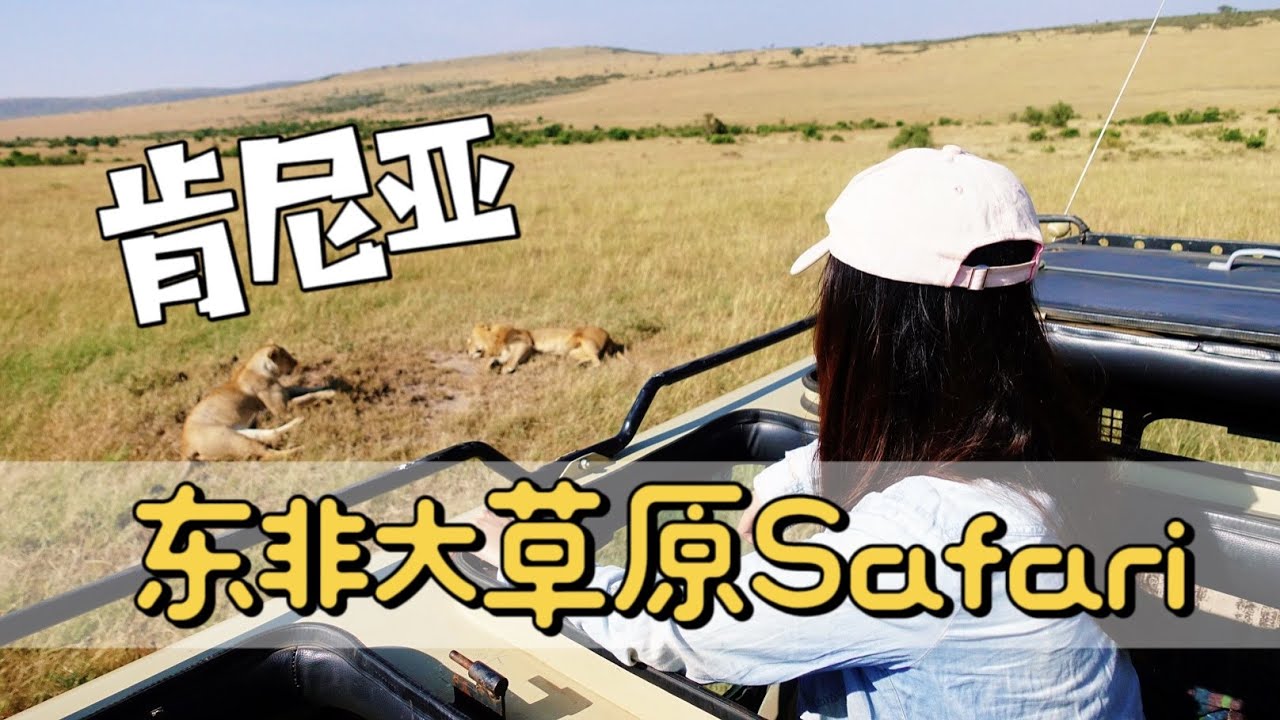 肯尼亚｜马赛马拉国家公园，去东非大草原Safari｜Safari in Kenya, Masai Mara