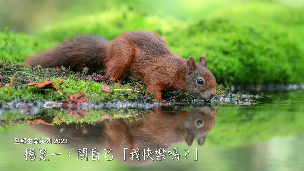 楊定一：問自己「我快樂嗎？」