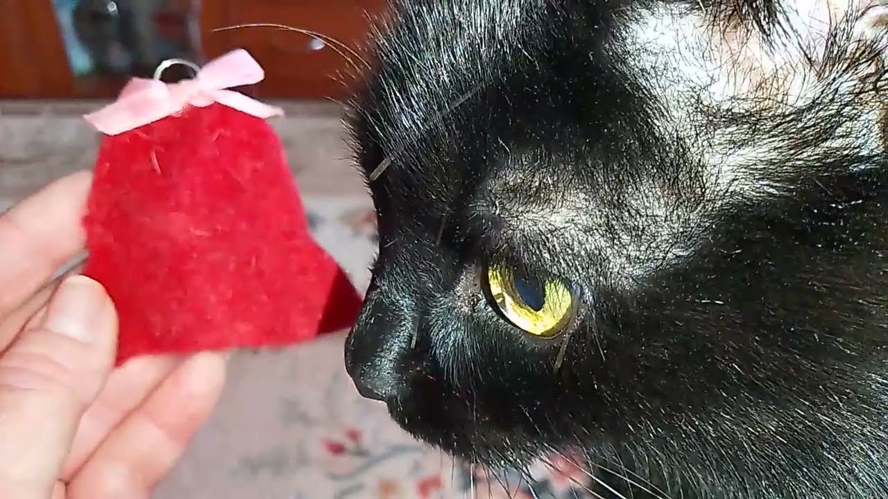ТВОРОЖНАЯ ЗАПЕКАНКА!😋🔥ЛЕНТЯИ МОИ!!🤷‍♀️ 😸 НЕ ХОТИМ ИГРАТЬ, ХОТИМ ГОНЯТЬ!!🙀 