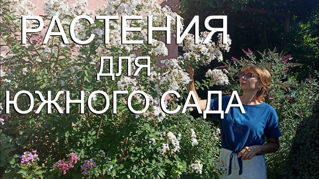 Дача на Юге - Растения для Южного сада