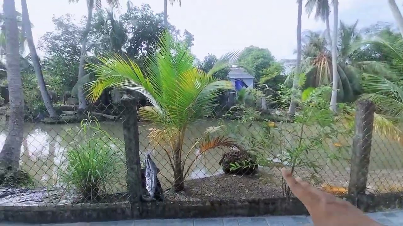 Bán Căn Nhà cấp 4 đường ô tô giá 1.150 tỷ LH 0907198665