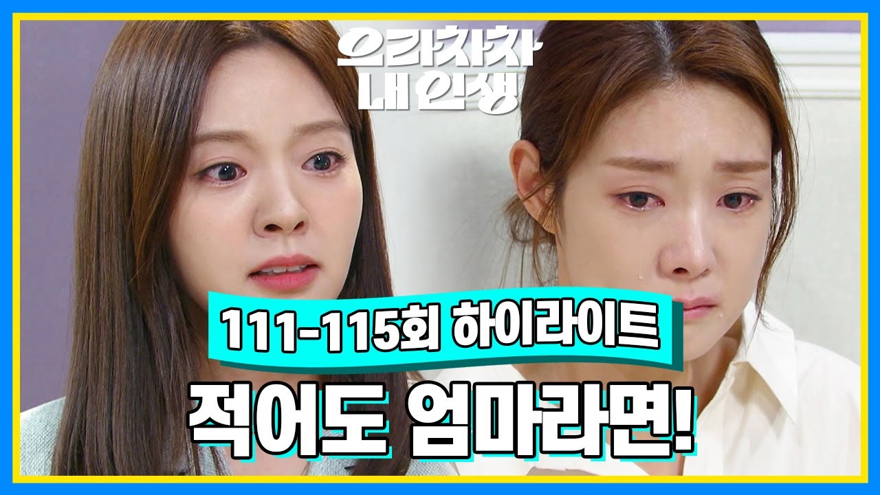 [111-115회 하이라이트] 적어도 엄마라면! 자식을 위해서 그 정돈 해야 되는 거 아니냐구요! [으라차차 내 인생] | KBS 방송