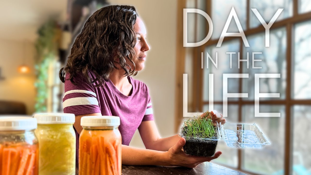 Day In The Life of a RE-ENERGIZED Homesteader