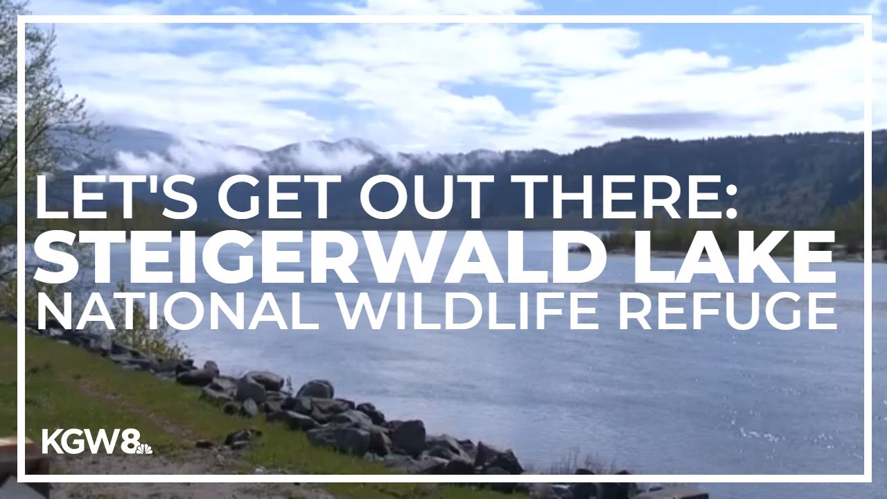 Steigerwald Lake National Wildlife Refuge reopens May 1 | Let's Get Out There