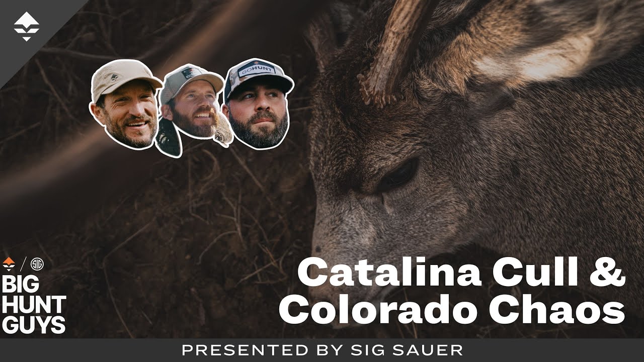Catalina Cull & Colorado Chaos: The Real Cost of Ballot-Box Wildlife Policy | Big Hunt Guys, Ep. 213