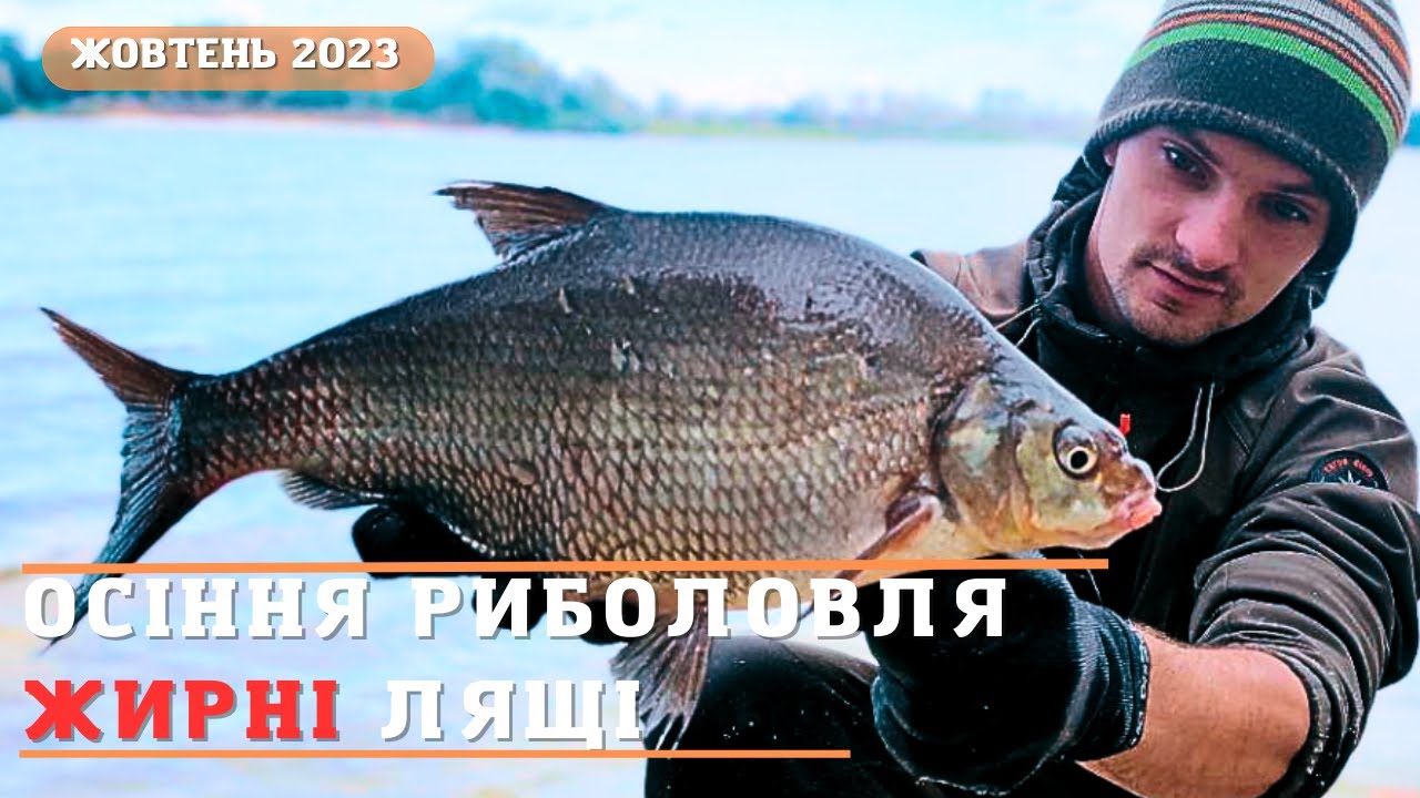 Ловимо ляща на фідер на Дніпрі🍀Як ловити ляща осінью? Ранкова рибалка в вітер 😁рибалка на ляща 2023