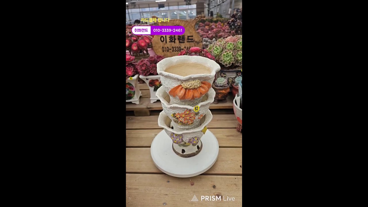 다남다육 (이화랜드) 라이브 스트리밍 중010-3339-2461문자주세요. 인천계양구이화동258-1