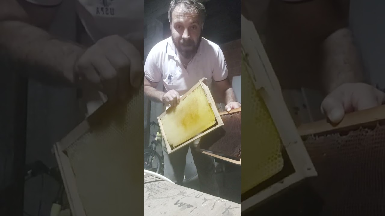 esmer petek veya beyaz petek.
