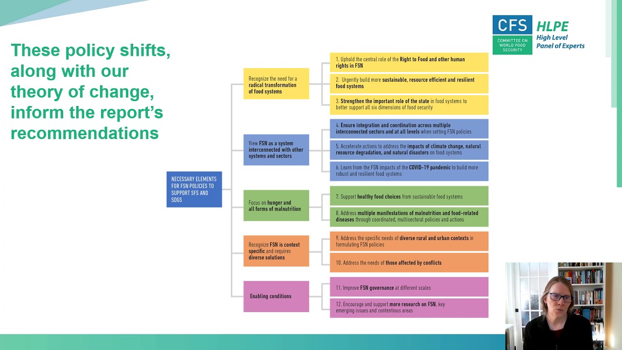 CFS 47 - Food Security and Nutrition:Building a Global Narrative towards 2030 - HLPE Report