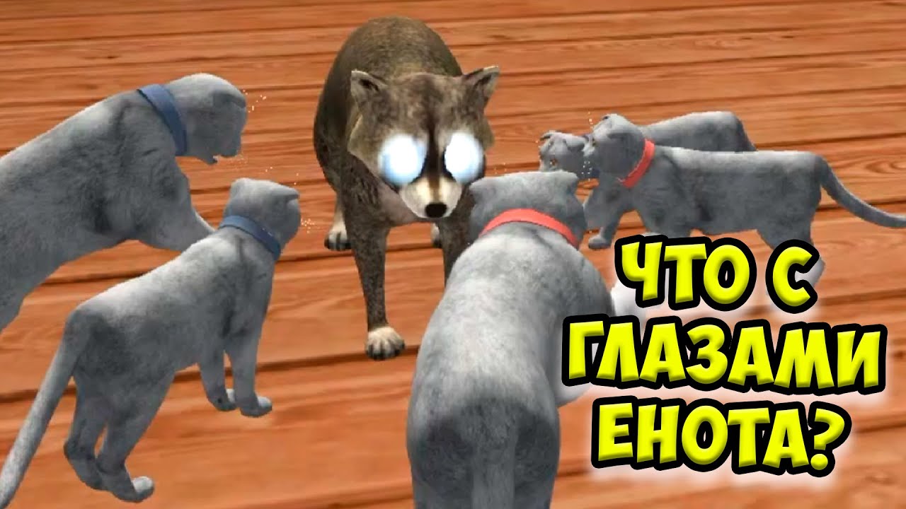 😻Симулятор КОТА и КОШКИ🐾 Как победить босса в СИМЕ cat sim