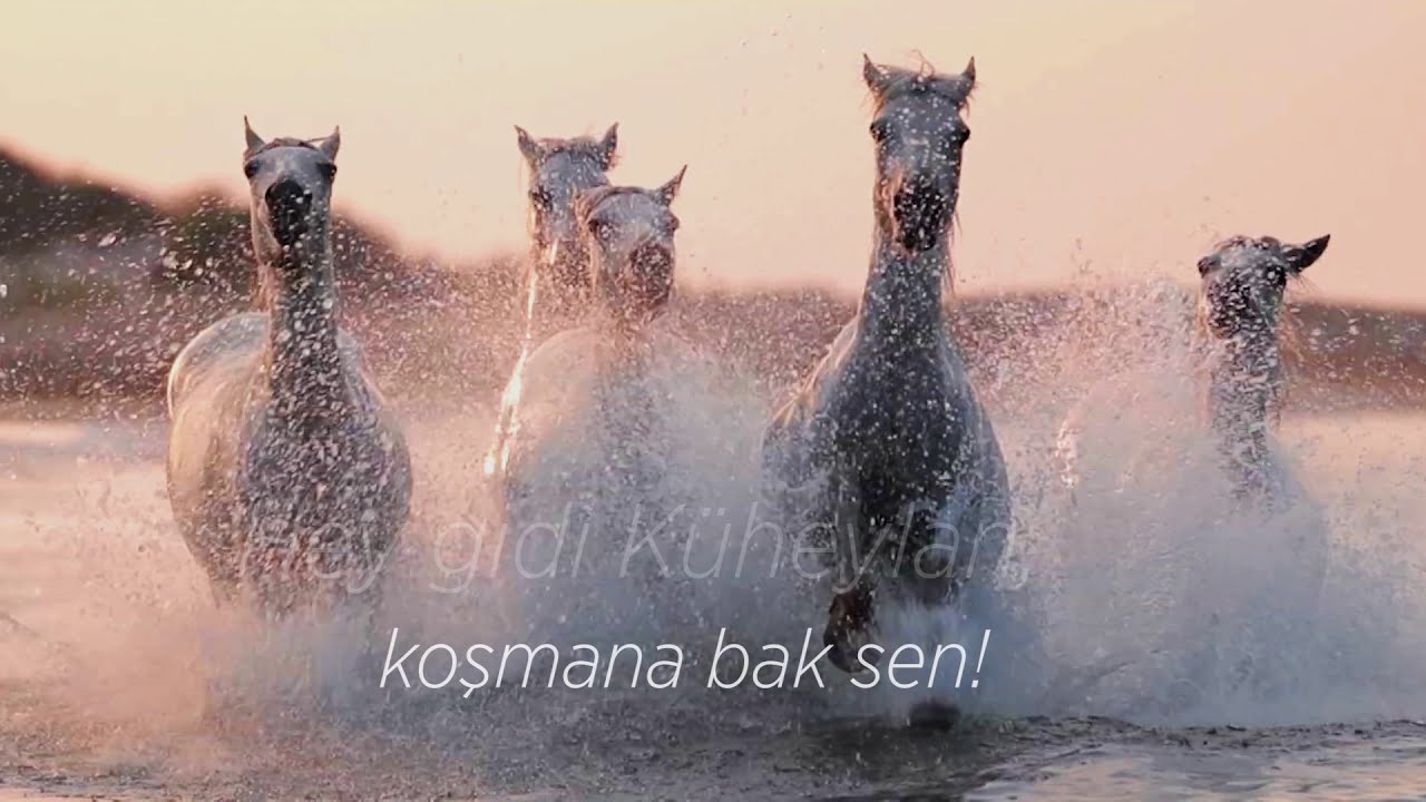 M&Uuml;SİAD EXPO 2020 Varız A&ccedil;ılış Filmi