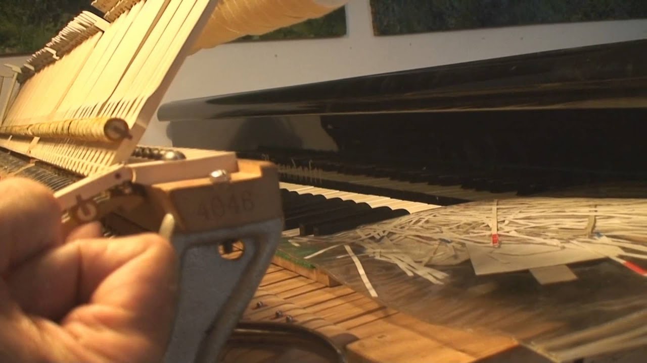 ANATOMIA DI UN PIANOFORTE  la meccanica