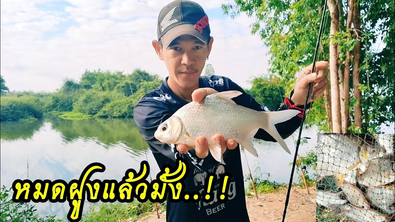 ✅ตกปลาหน้าดินแม่น้ำชี หมายนี้ดุจริง‼️#ตกปลาหน้าดิน#แม่น้ำชี