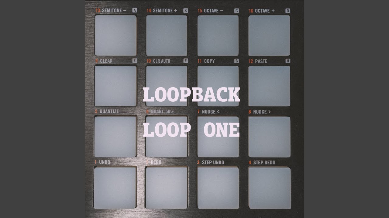 LOOP Fox