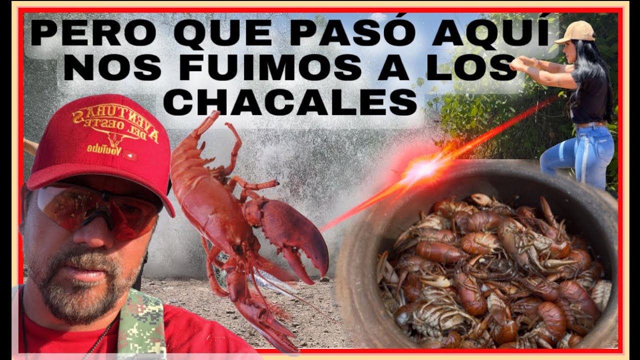 AVENTURA 530  LES PRESENTO A APACHITA NOS FUIMOS A SACAR CHACALES Y SI QUE VALIÓ LA PENA