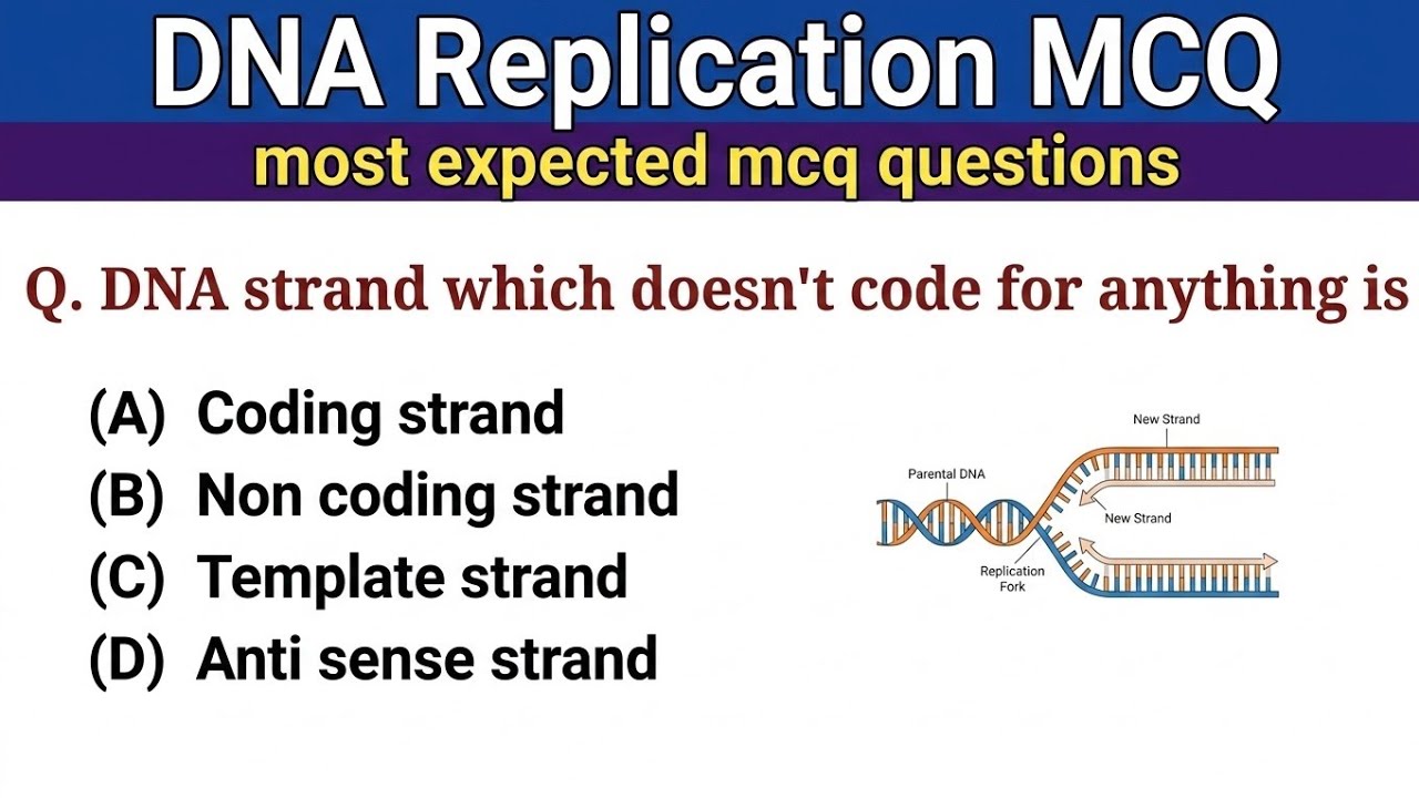 DNA Replication mcq || DNA Replication || genetics mcq