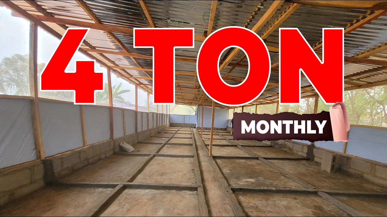 How We Built a 4-Ton BSF Facility | Complete Step-by-Step Guide