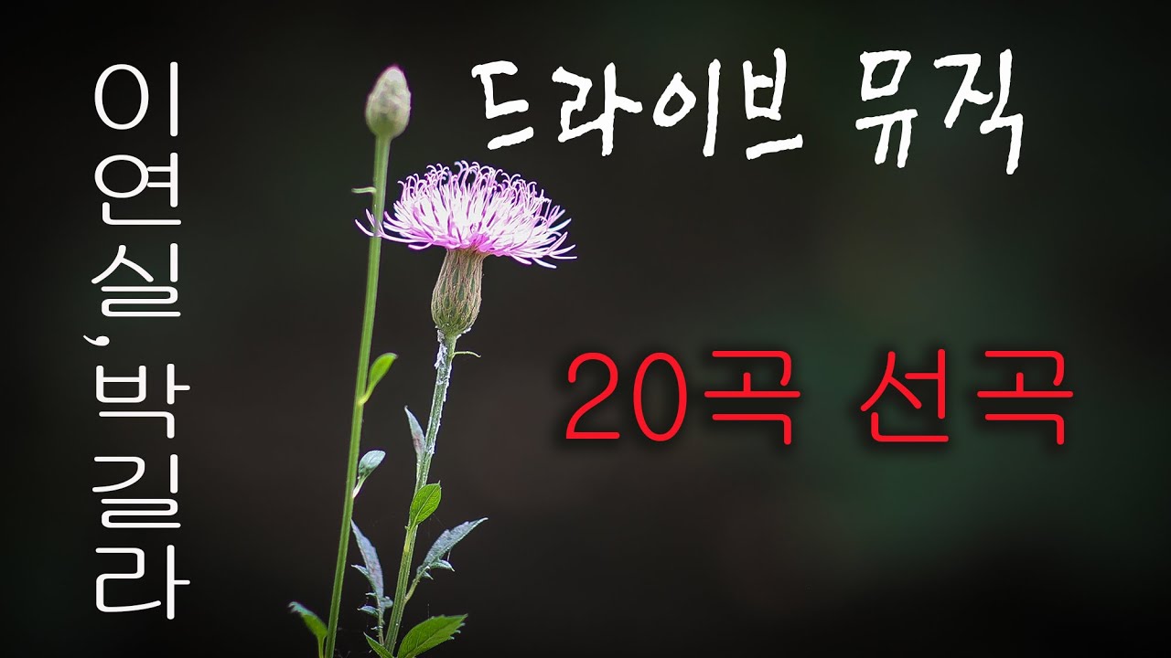 드라이브 뮤직 (이연실&박길라))  20곡