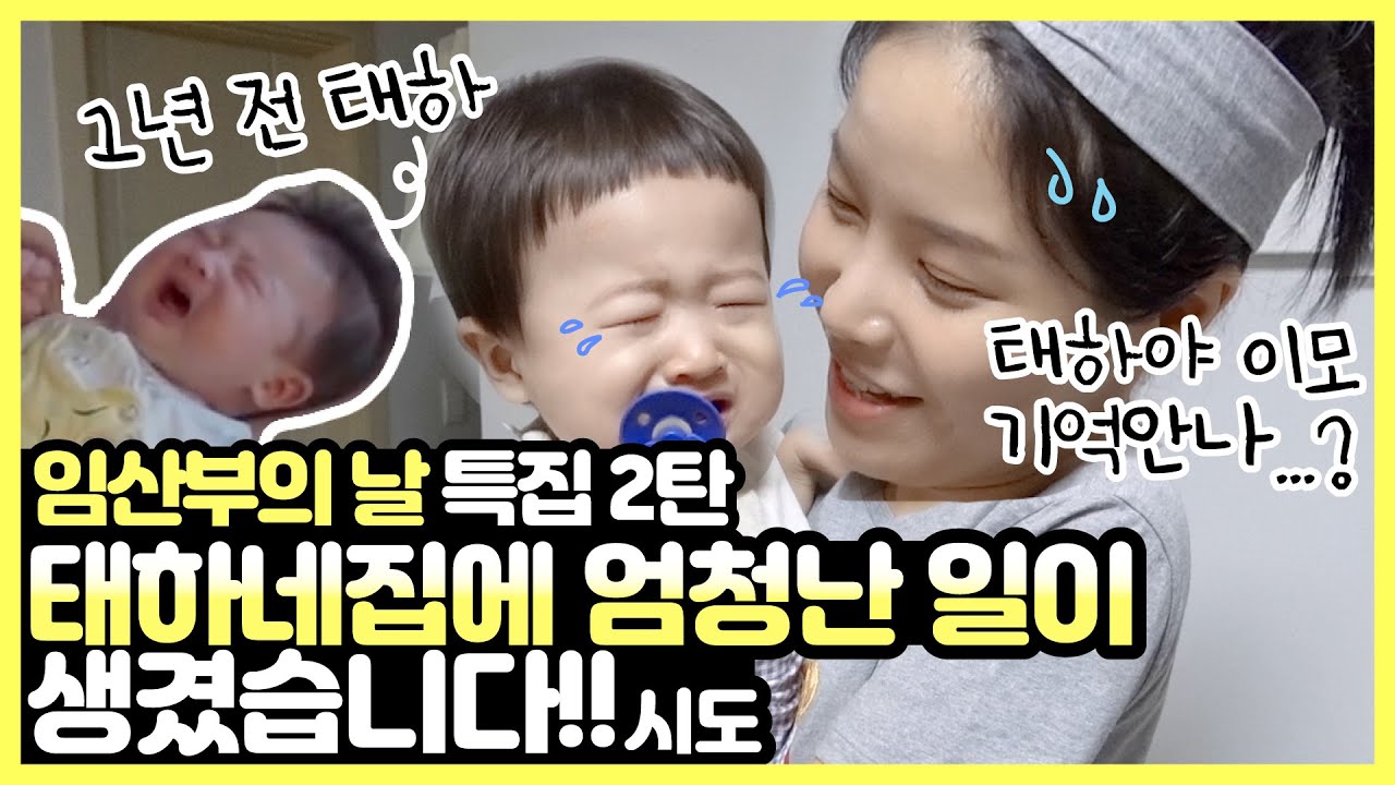 임산부의날특집2탄! 1년 전의 태하는 과연?