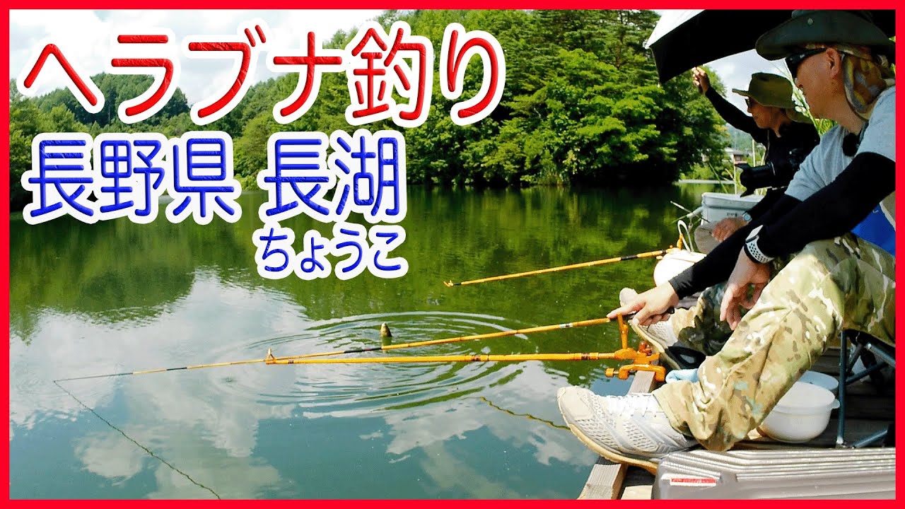 ヘラブナ釣り長野県長湖マブナやワカサギ草魚も生息#fishinginjapan #ヘラブナ釣り#長湖 #真夏の長湖