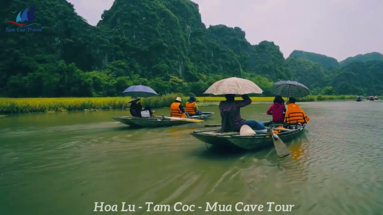 Incredible Hoa Lu Tam Coc Mua Cave 1 Day Tour