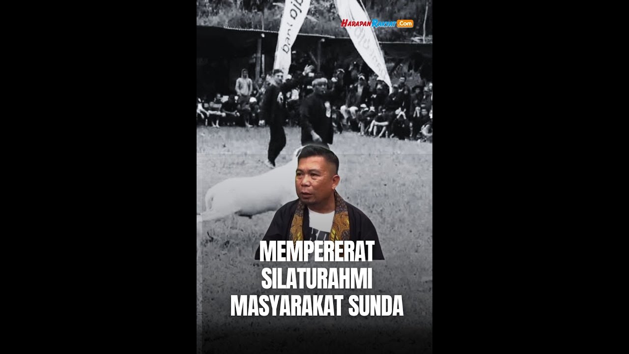Tak Sekadar Kontes, Milangkala HPDKI Sumedang Dorong Ekonomi dan Budaya Peternakan Sunda