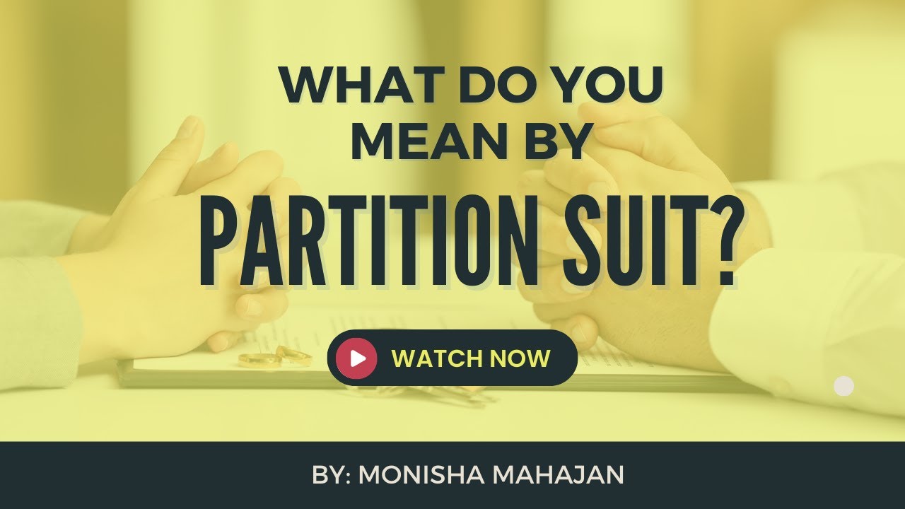 What do you mean by Partition Suit | What does the Partition Suit do? | Partition suit explained