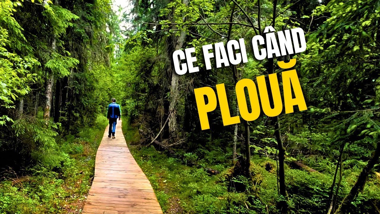 BUCOVINA pe ploaie: trasee, mănăstiri și surprize în vacanță