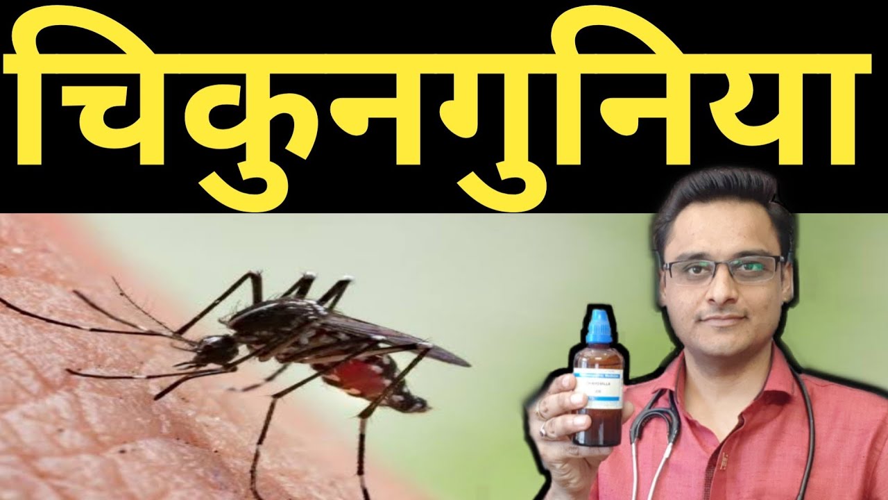 CHIKUNGUNYA - treatment/chiungunya symptoms/ chikungunya ka ilaj/home remedies/homeopathic medicine