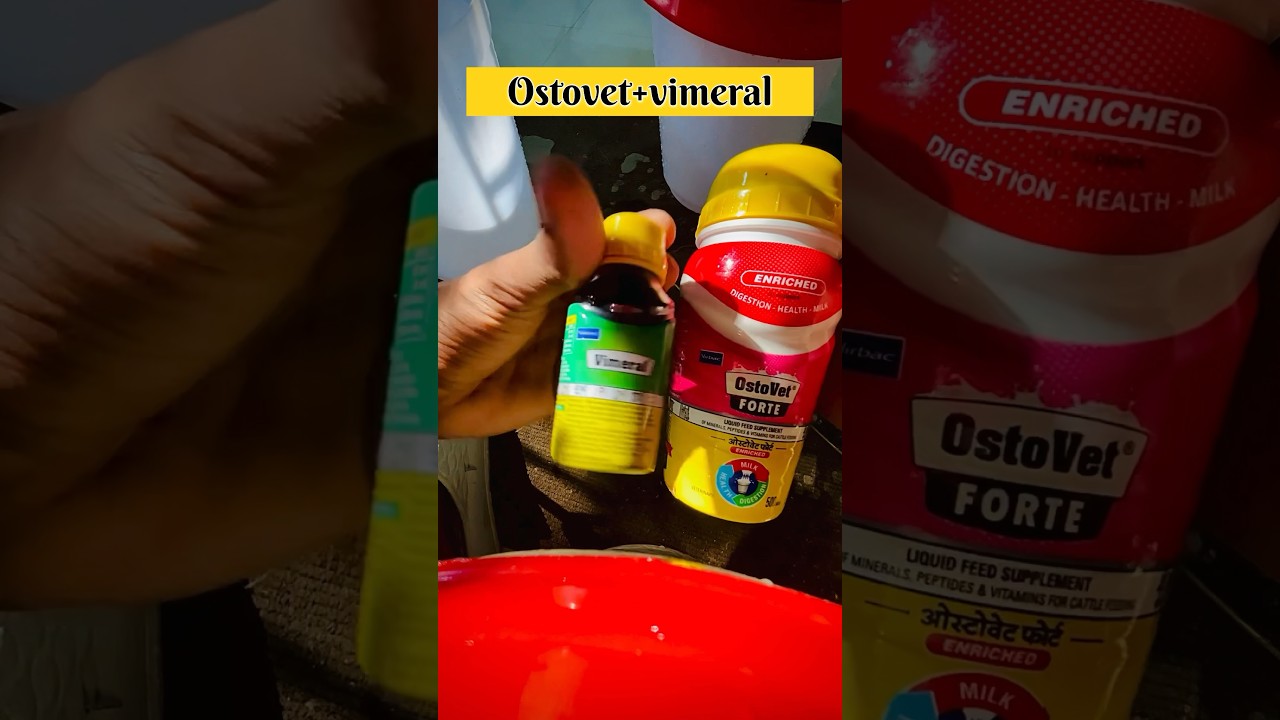 Ostovet + vimeral का उपयोग कैसे करें#birds #chicken #shortsyoutube
