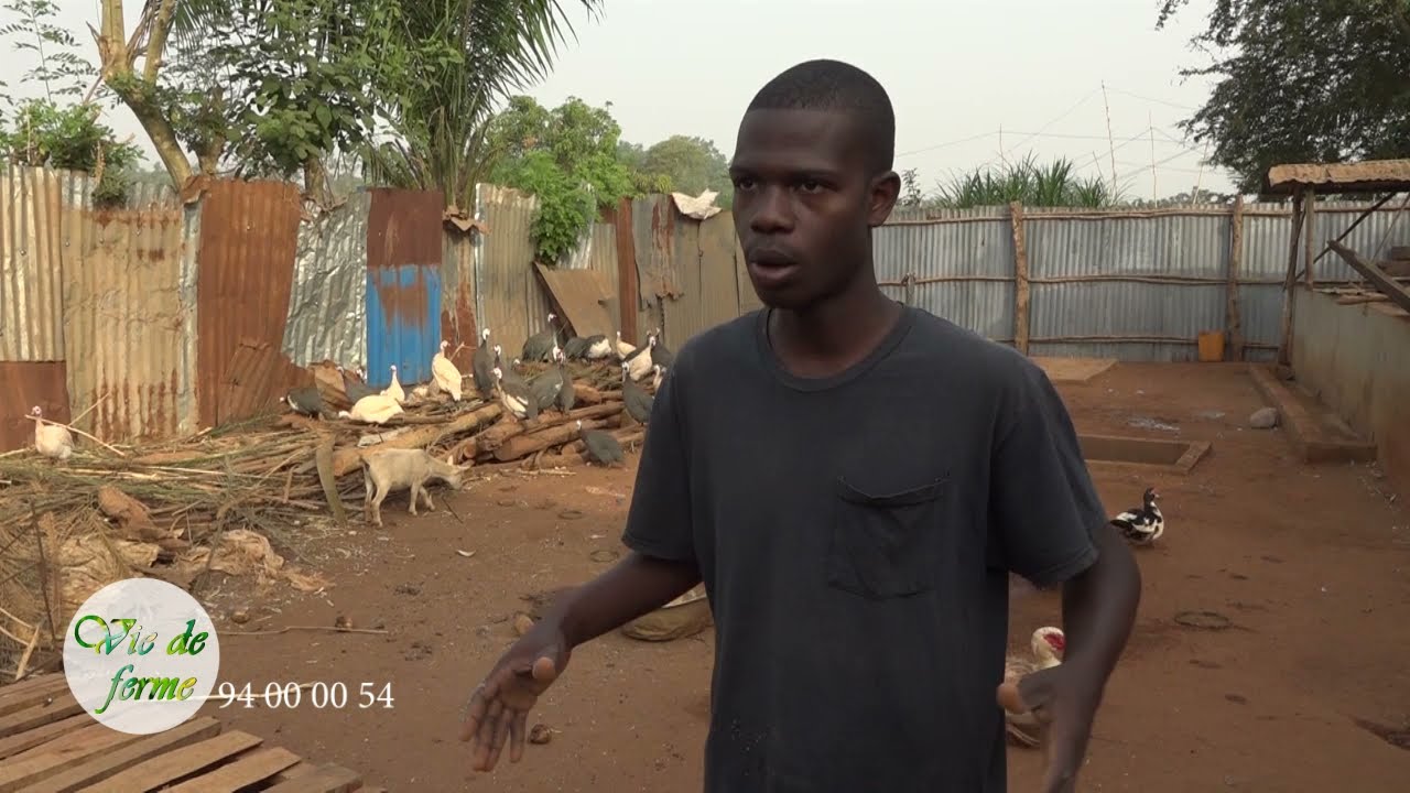 CANAL3-BENIN : Vie de Ferme du Dimanche 26 Décembre 2021 avec Teddy GOUDALO