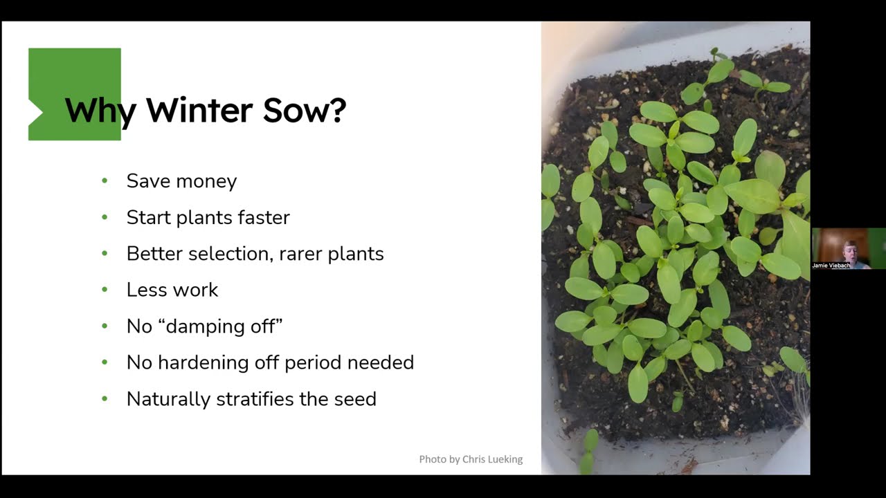 Winter Sowing Lecture | Friends of the Oak Park Conservatory