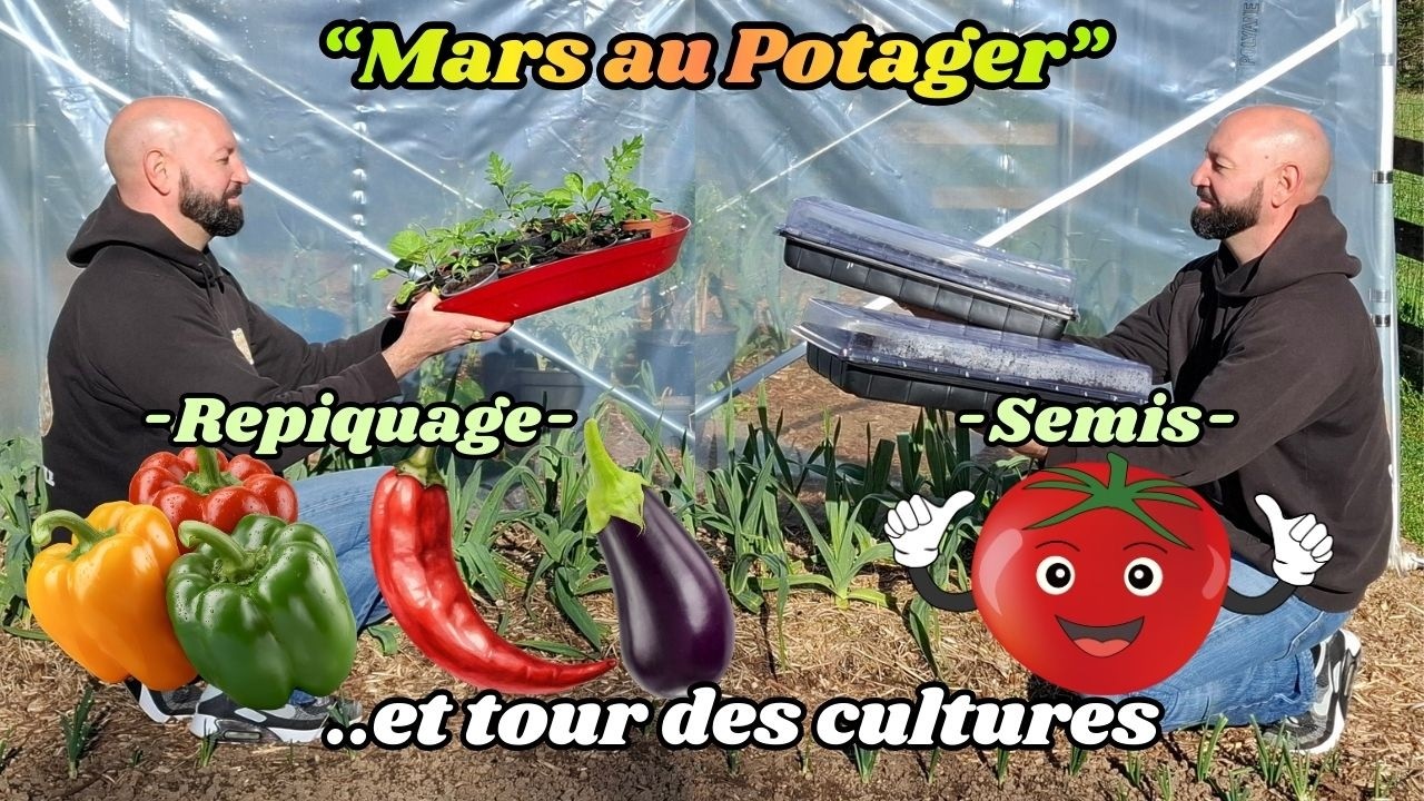 Semis de tomates, repiquage et tour du potager.#jardin #potager