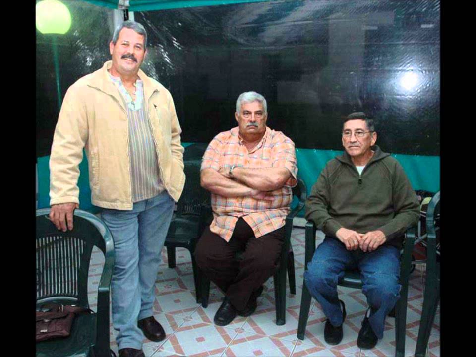 palomas mensajeras en canarias club colombofilo DORAMAS TELDE