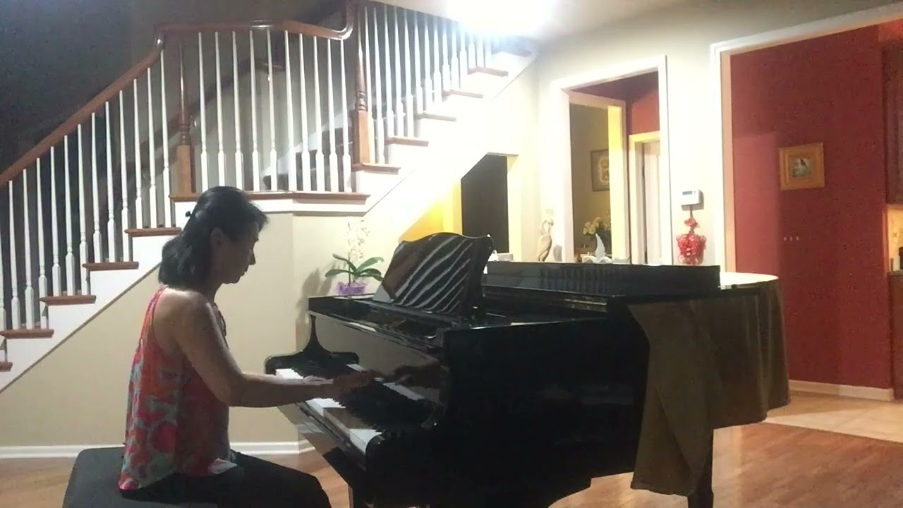 Murmures 梦中的鸟 Adult Beginner Piano Progress