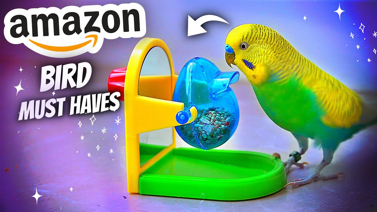 Amazon MUST HAVE для вашей домашней птицы №2